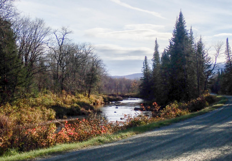 PA278006 TG6MLR2020.jpg