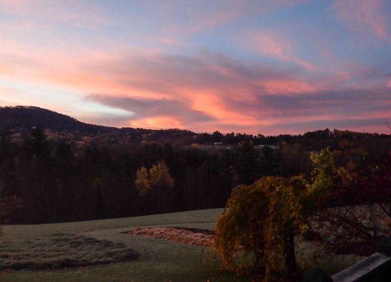 PA288028 TG6MLR2020.jpg