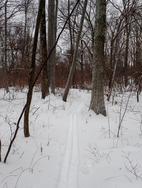 P1178324 TG6MLR2022.jpg