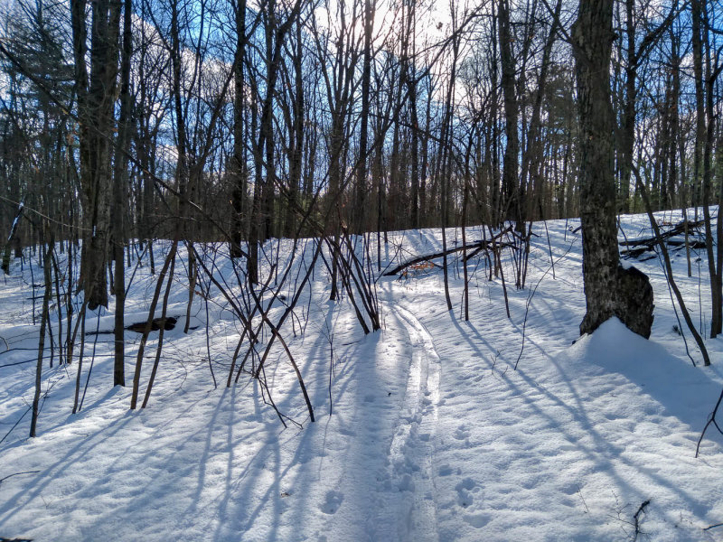 20220118_114122 MLR2022.jpg