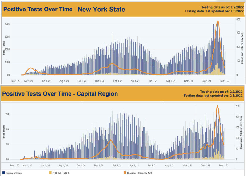 2-2-22 nys and capital cases over time.jpg