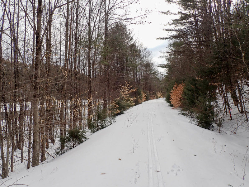 P2210302 TG6MLR2022.jpg