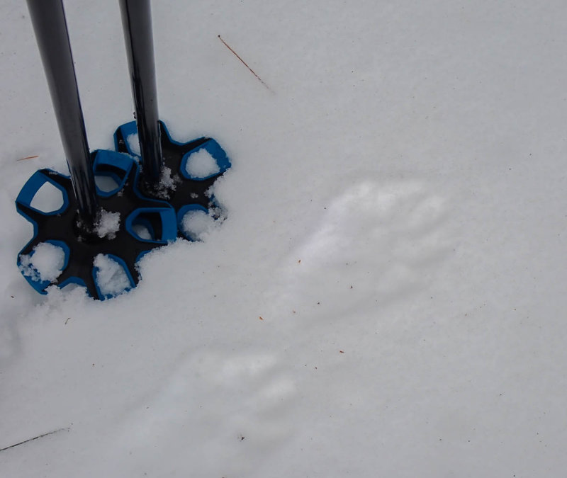 P2210304 TG6MLR2022.jpg