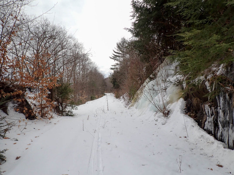 P2210307 TG6MLR2022.jpg
