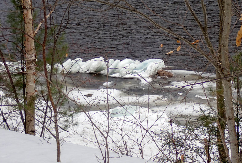 P2210308 TG6MLR2022.jpg