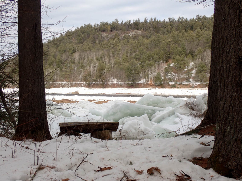 P2210317 TG6MLR2022.jpg