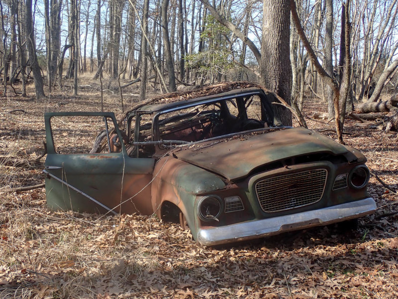 P3210572 TG6MLR2022.jpg