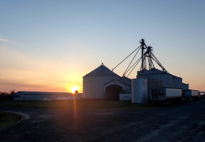 P3220672 TG6MLR2022.jpg