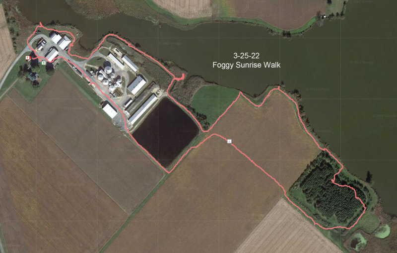 3-25-22 walk map.jpg