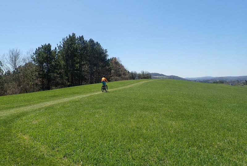 P5092377 MLR2022.jpg