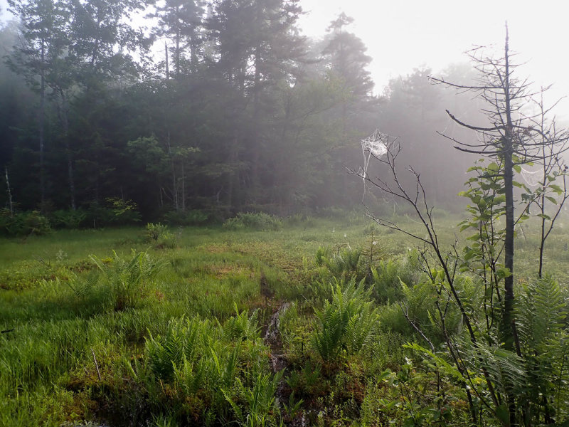 P6243403 TG6MLR2022.jpg