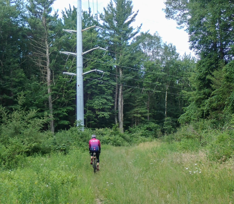 P6303515 TG6MLR2022.jpg