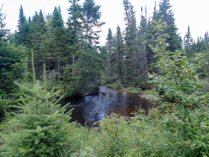 P8144291 TG6MLR2022.jpg