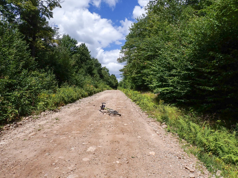 P8144294 TG6MLR2022.jpg
