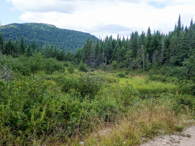 P8144304 TG6MLR2022.jpg