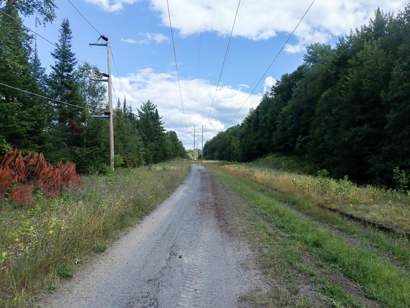 P8144317 TG6MLR2022.jpg