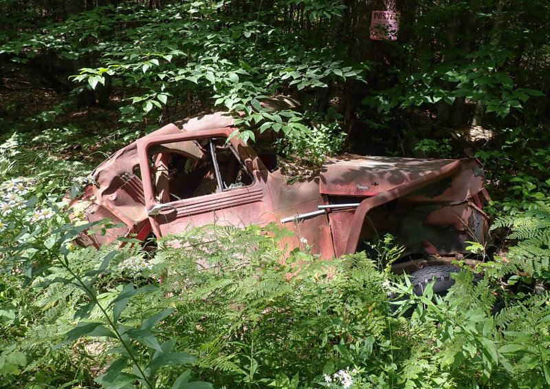 P8154402 TG6MLR2022.jpg