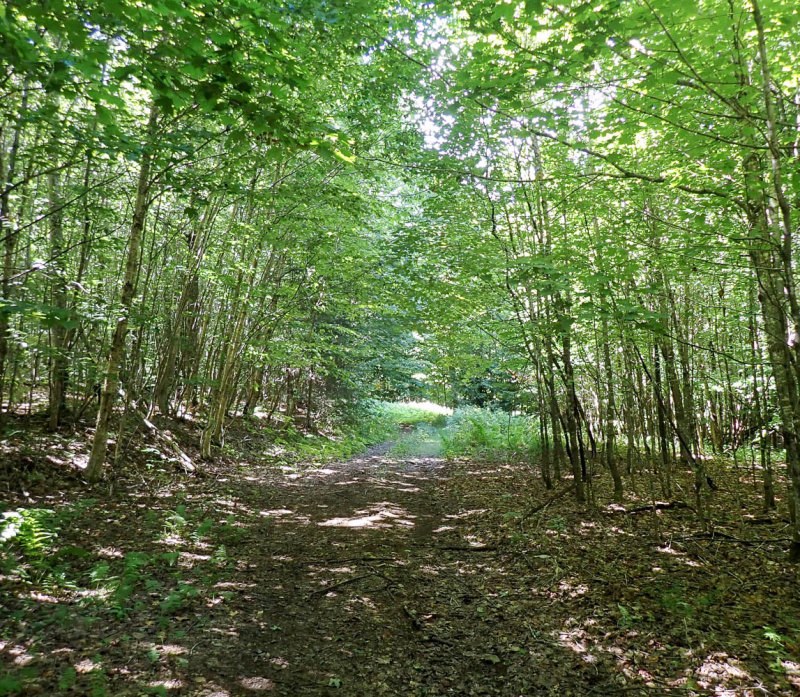 P8154411 TG6MLR2022.jpg