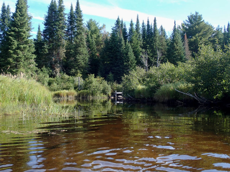 P8164469 TG6MLR2022.jpg
