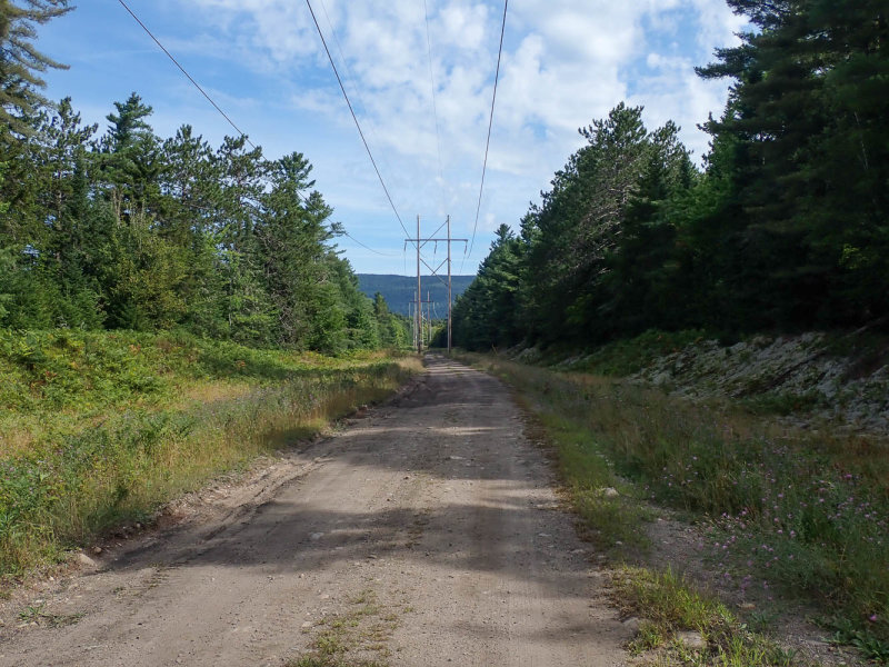 P8164501 TG6MLR2022.jpg