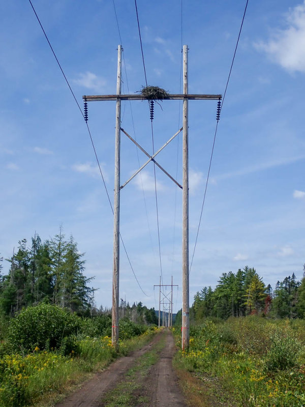 P8164522 TG6MLR2022.jpg
