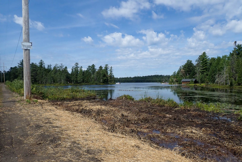 P8164523 TG6MLR2022.jpg