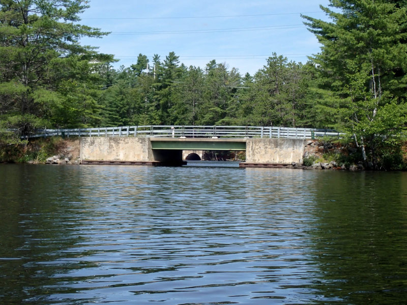 P8164538 TG6MLR2022.jpg
