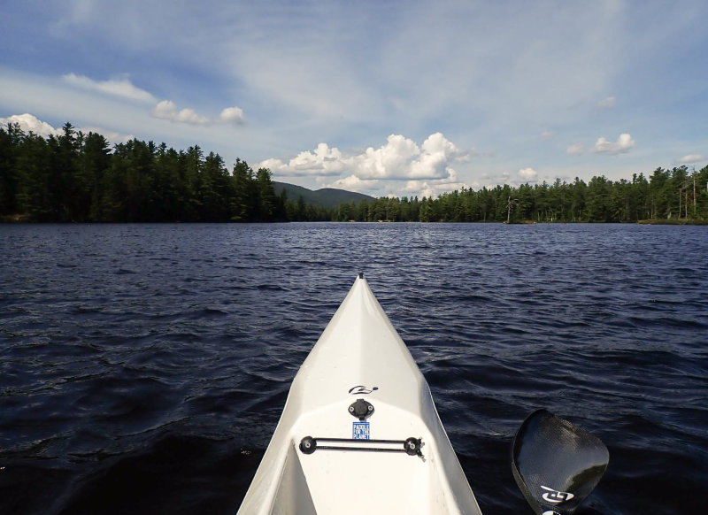 P8164549 TG6MLR2022.jpg