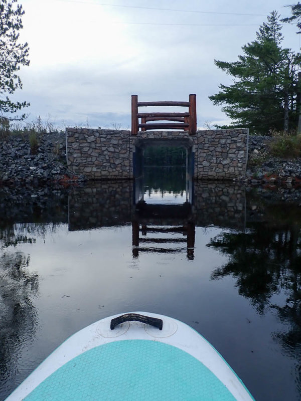P8174591 TG6MLR2022.jpg