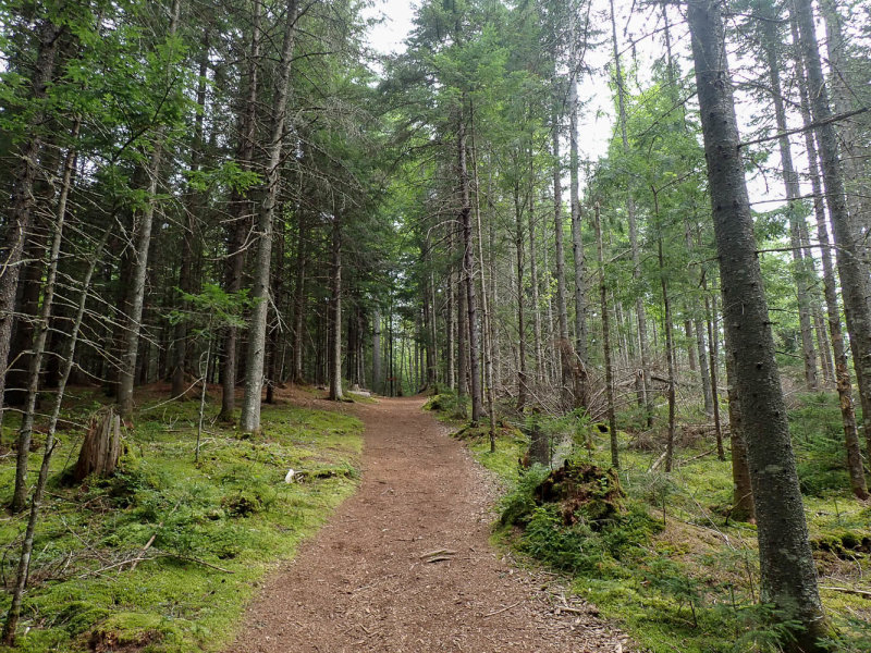 P8174626 TG6MLR2022.jpg