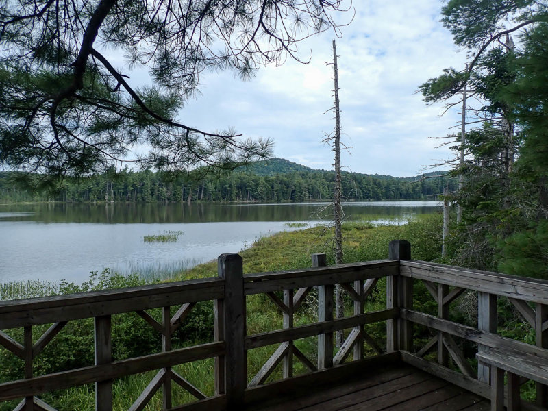 P8174633 TG6MLR2022.jpg