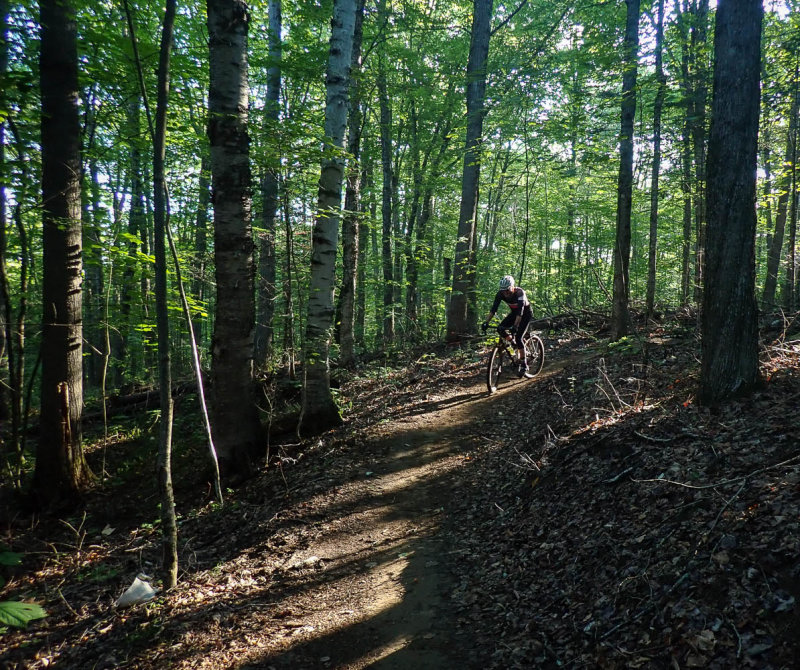 P8284833 TG6MLR2022.jpg