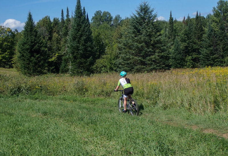 P8284878 TG6MLR2022.jpg