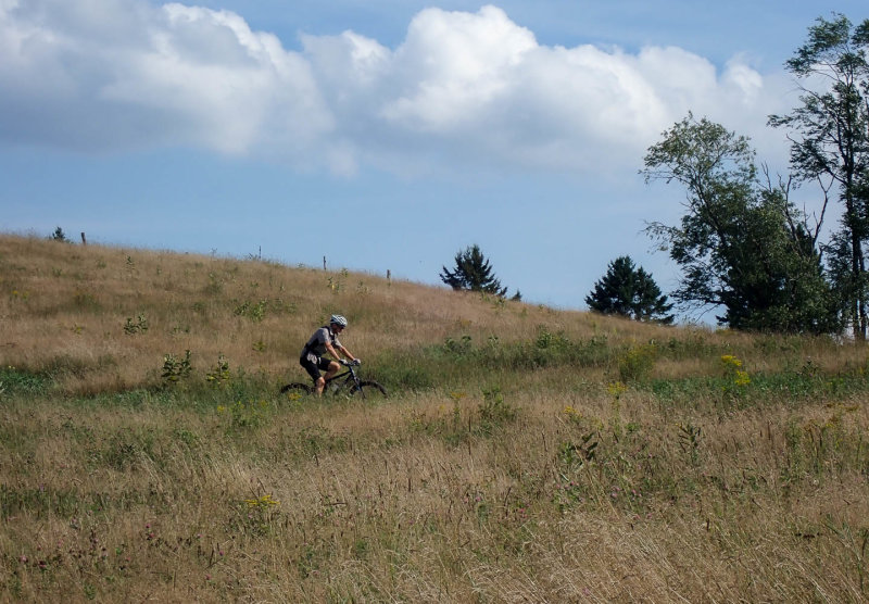 P8294996 TG6MLR2022.jpg