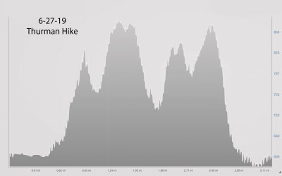 62719_elevation.jpg