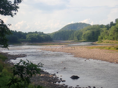 P8240843 MLR2020.jpg