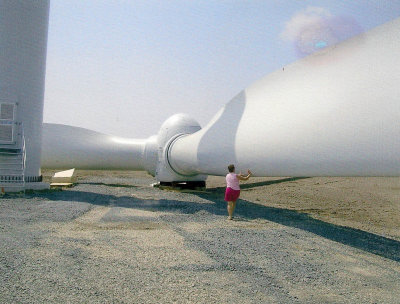 Sandy at wind turbine MLR2020.jpg