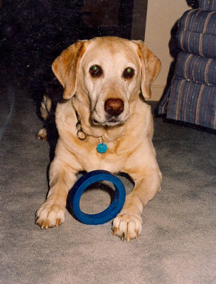 Phoebe MLR2020.jpg