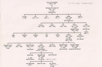 Vipond Family Tree MLR2020 TEMP.jpg