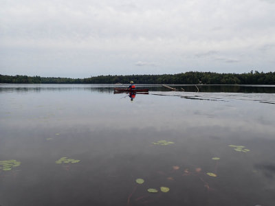 g12/96/496896/3/171925537.nLAGnS7i.jpg