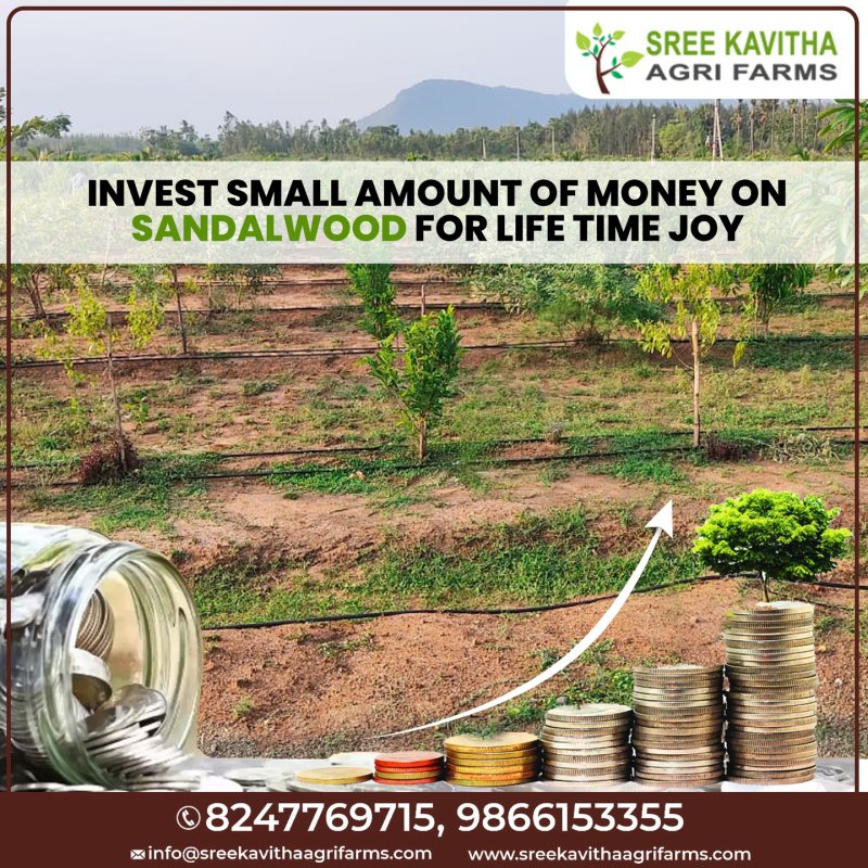 sreekavithaagrifarms 7.jpg