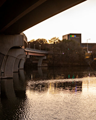 Pfluger Pedestrian Bridge