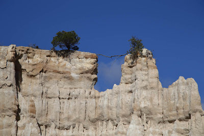 ILLE SUR TET  - LES ORGUES