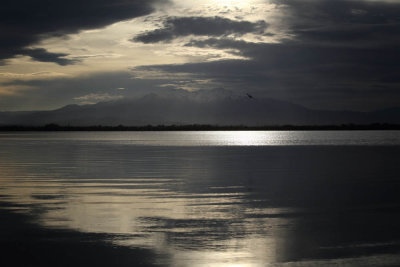 L'Etang de Canet et le Canigou