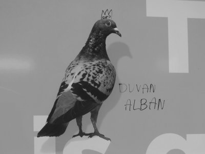 Duvan Alban             