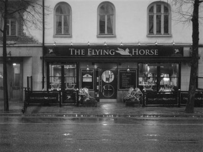 The Flying Horse  