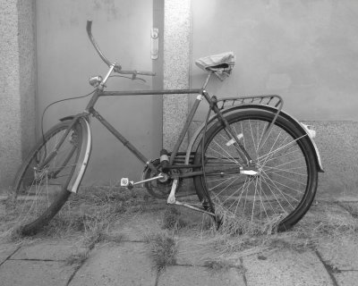  Cykel 