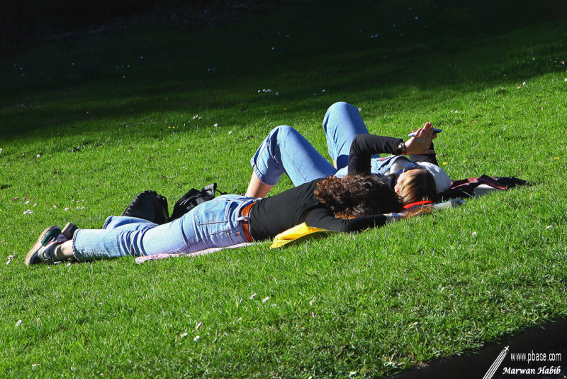23-02-2021 : Enjoying the sun / Apprciant le soleil