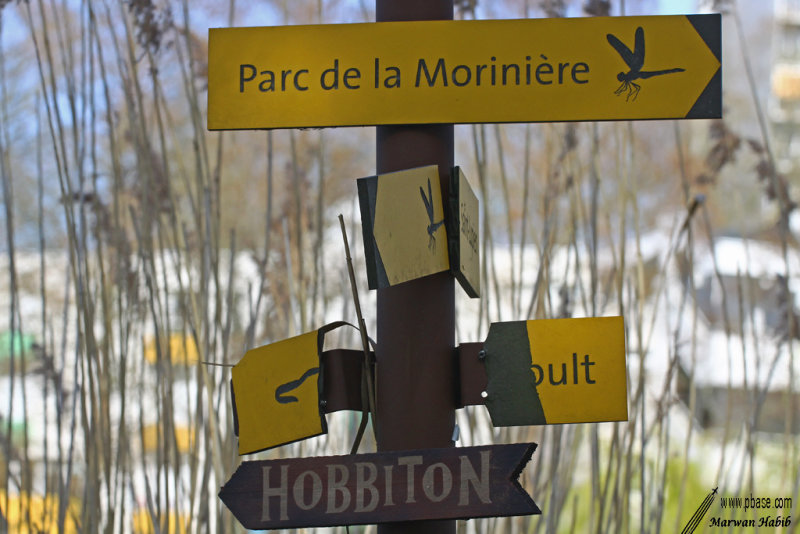 28-03-2021 : The way to Middle Earth / Le chemin vers la Terre du Milieu