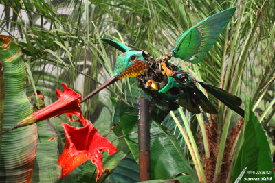 Floralies 2019 - Machines de l'le